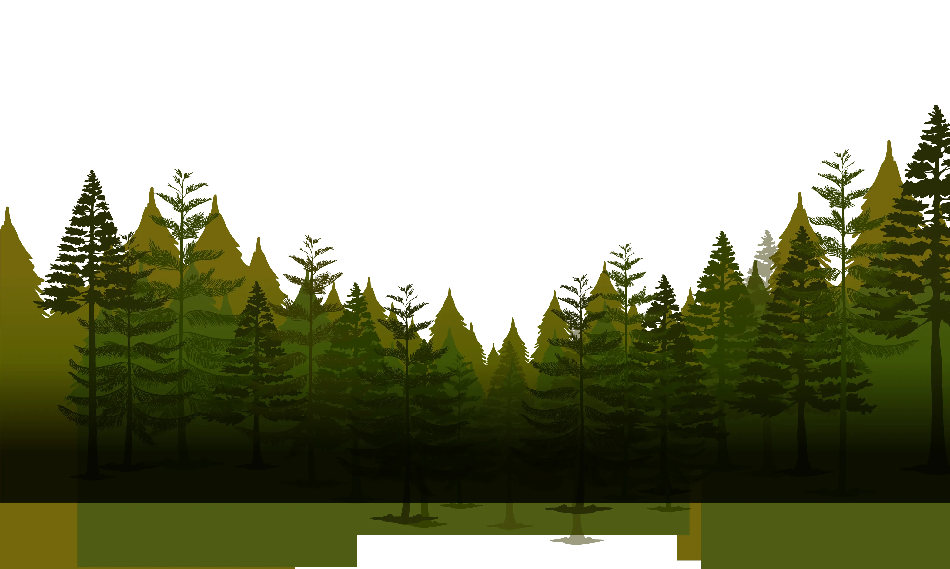 Forest Background